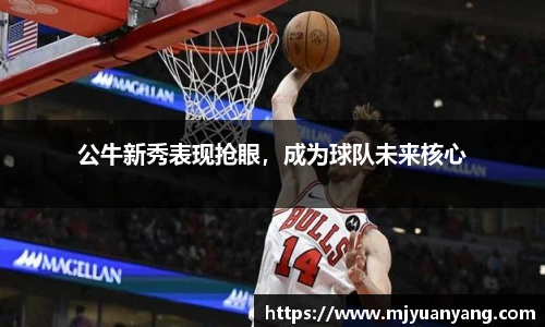 公牛新秀表现抢眼，成为球队未来核心
